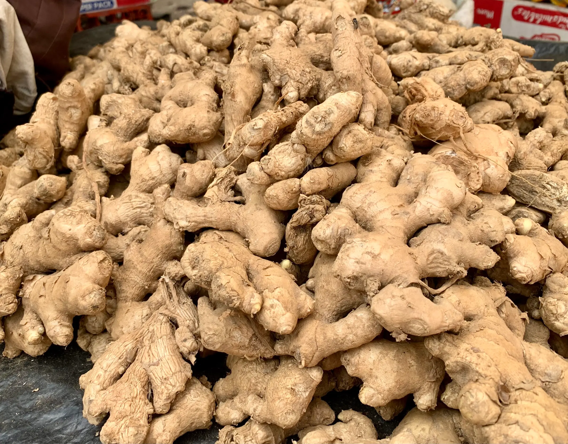 A heap of fresh ginger rhizomes